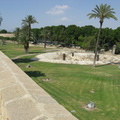 img 0142