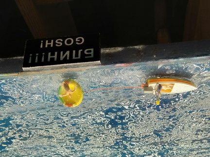 IMG 20191111 133120