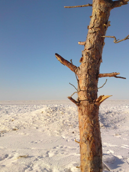 Jurmala-01.jpg