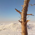 Jurmala-01