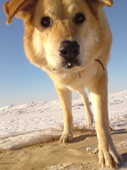 Jurmala-02.jpg