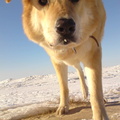 Jurmala-02