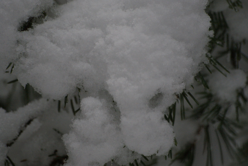 dsc00651.jpg