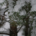 dsc00658