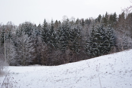 dsc00723