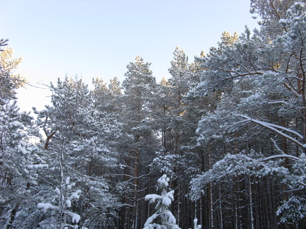 img 0720