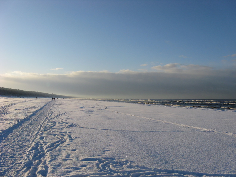 img_0730.jpg
