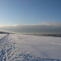img 0730