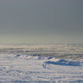 img 0731